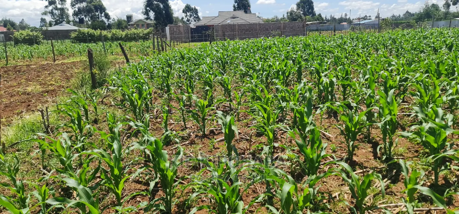 1⁄8 Plot for Sale in Sogomo Chepkoilel Eldoret
