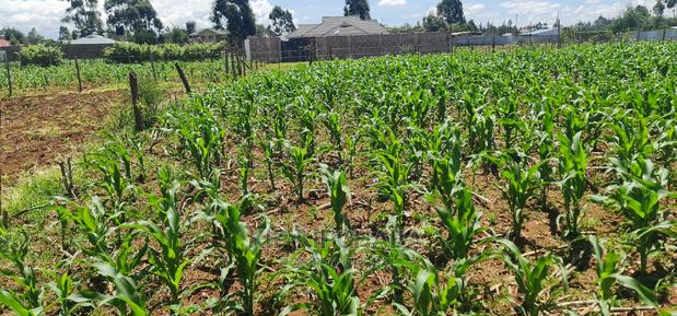 1⁄8 Plot for Sale in Sogomo Chepkoilel Eldoret - thumbnail 3