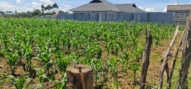 1⁄8 Plot for Sale in Sogomo Chepkoilel Eldoret - thumbnail 6