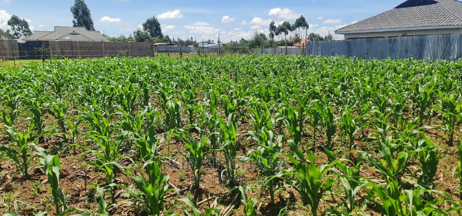 1⁄8 Plot for Sale in Sogomo Chepkoilel Eldoret