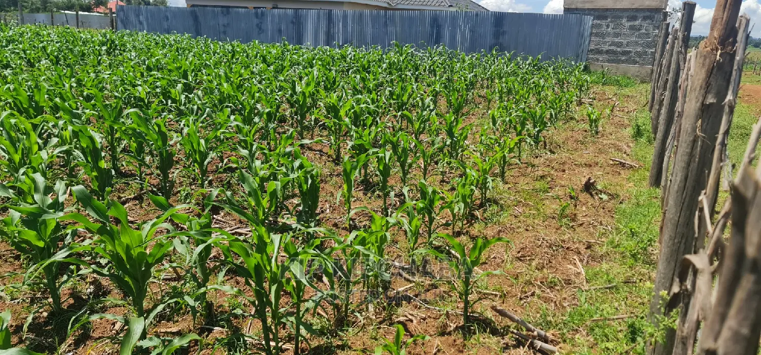1⁄8 Plot for Sale in Sogomo Chepkoilel Eldoret