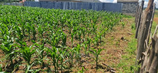 1⁄8 Plot for Sale in Sogomo Chepkoilel Eldoret - thumbnail 7