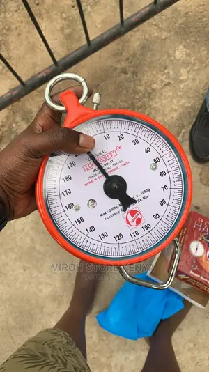New Hanging Weighing Scale 200kgs Store Scale