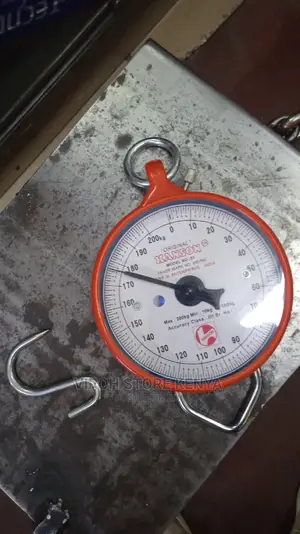New Hanging Weighing Scale 200kgs Store Scale