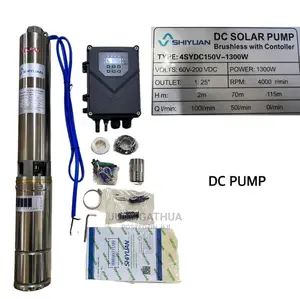 Shiyuan Submersible Dc Pump