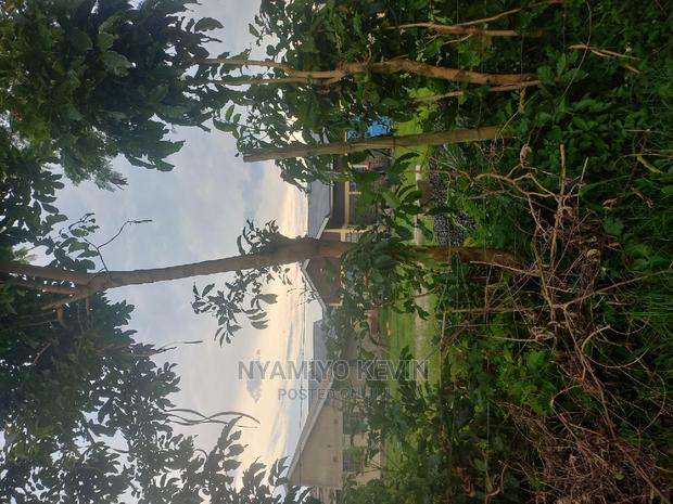 Roses Flower Farm Eldoret - thumbnail 3