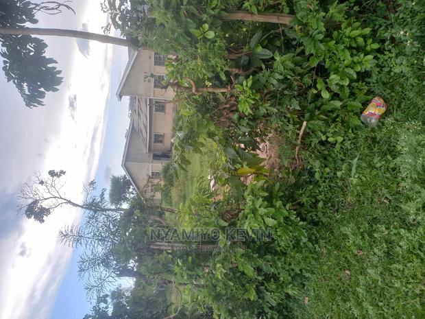 Roses Flower Farm Eldoret - thumbnail 4