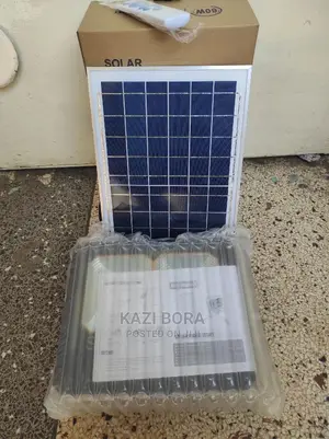 60watts Solar Floodlights