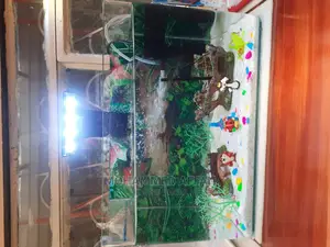 15 LTR Aquarium