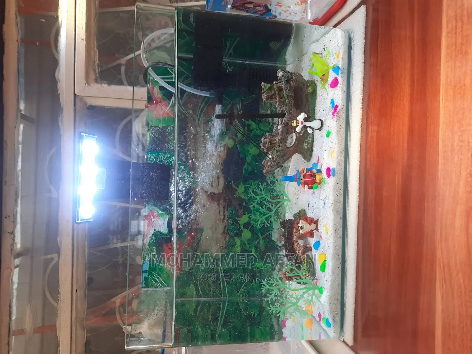 15 LTR Aquarium