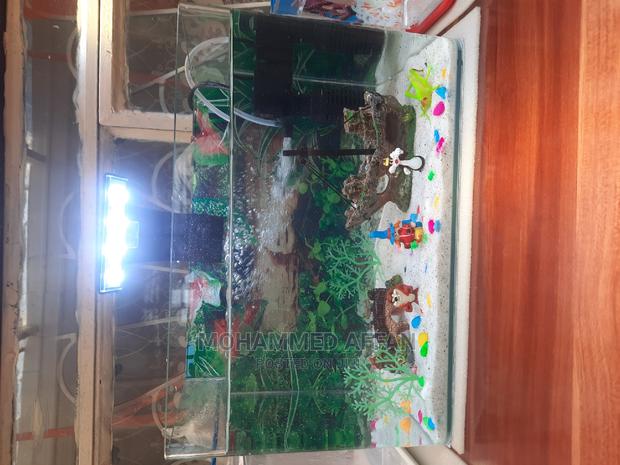 15 LTR Aquarium - thumbnail 3