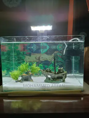 15 LTR Aquarium