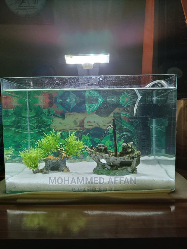 15 LTR Aquarium - thumbnail 4