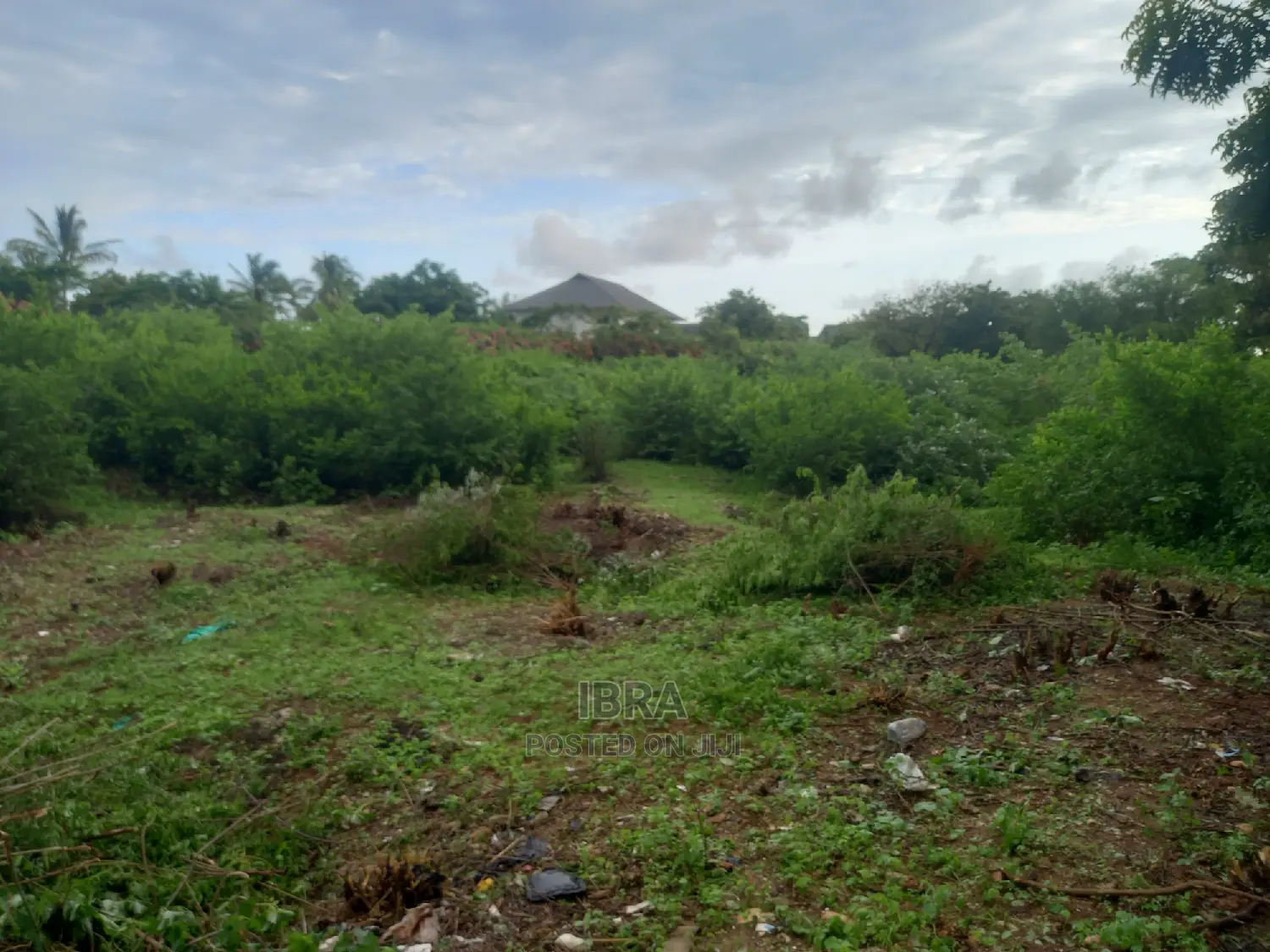 Kilifi Old Ferry Plot