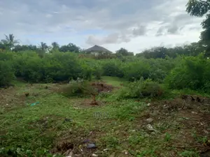 Kilifi Old Ferry Plot