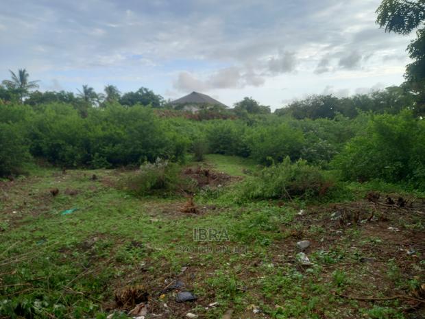 Kilifi Old Ferry Plot - main view