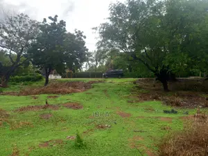 Kilifi Old Ferry Plot