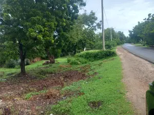 Kilifi Old Ferry Plot