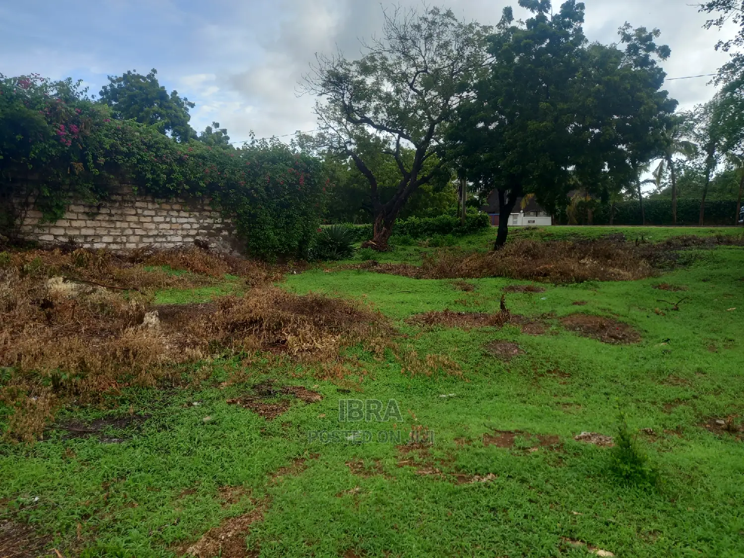 Kilifi Old Ferry Plot