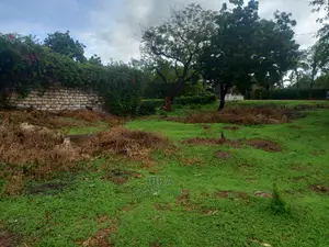 Kilifi Old Ferry Plot