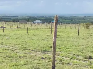 Prime One Acre in Joska.