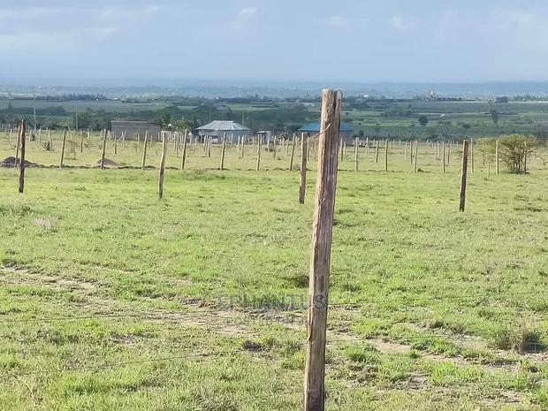 Prime One Acre in Joska. - main view