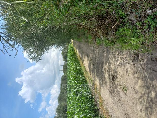 Prime One Acre in Joska. - thumbnail 2