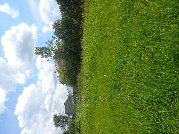 Prime One Acre in Joska. - thumbnail 3