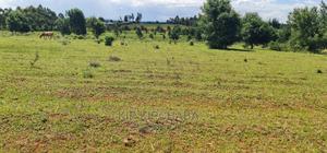 10 Acres for Sale in Chembulet Eldoret - thumbnail 2