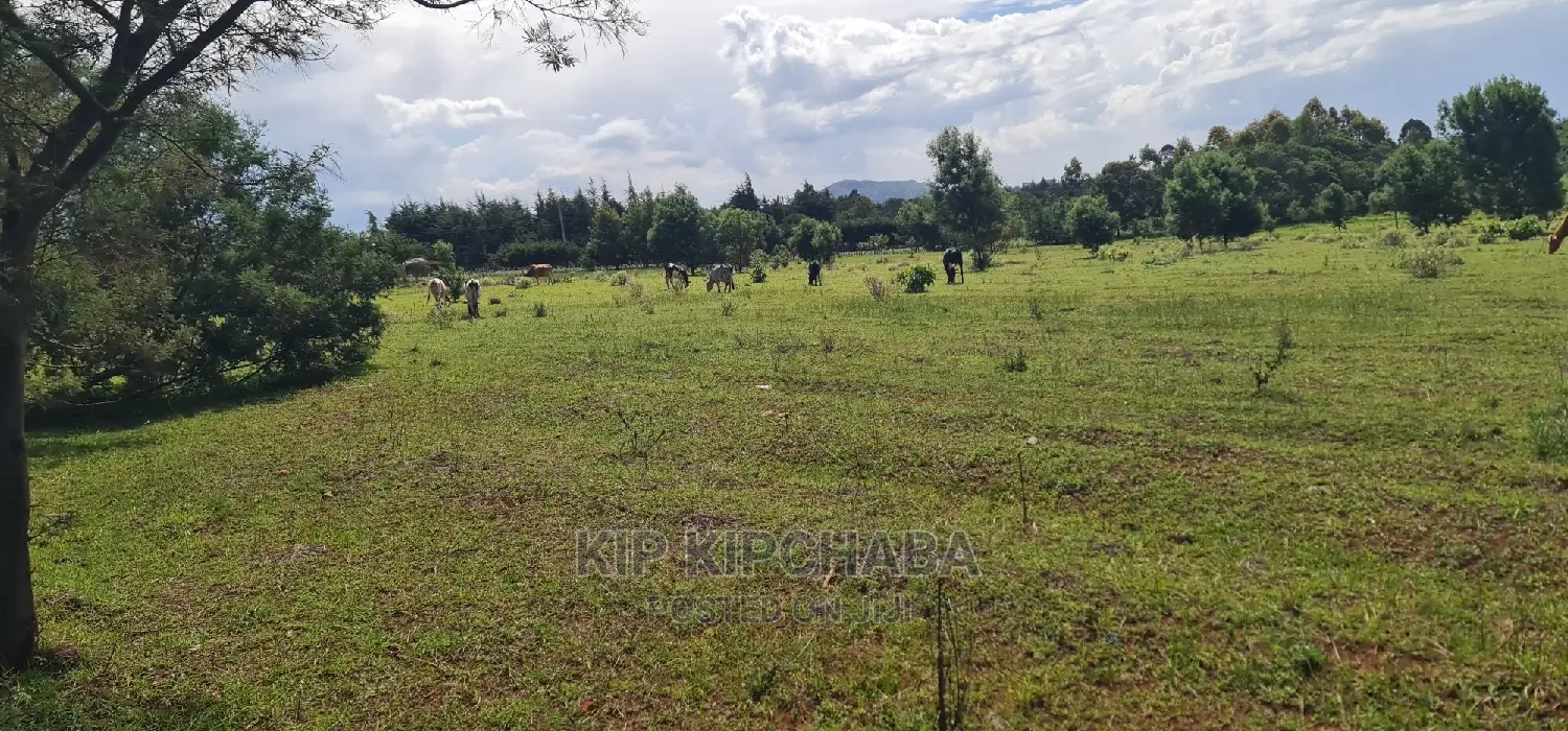 10 Acres for Sale in Chembulet Eldoret