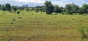 10 Acres for Sale in Chembulet Eldoret