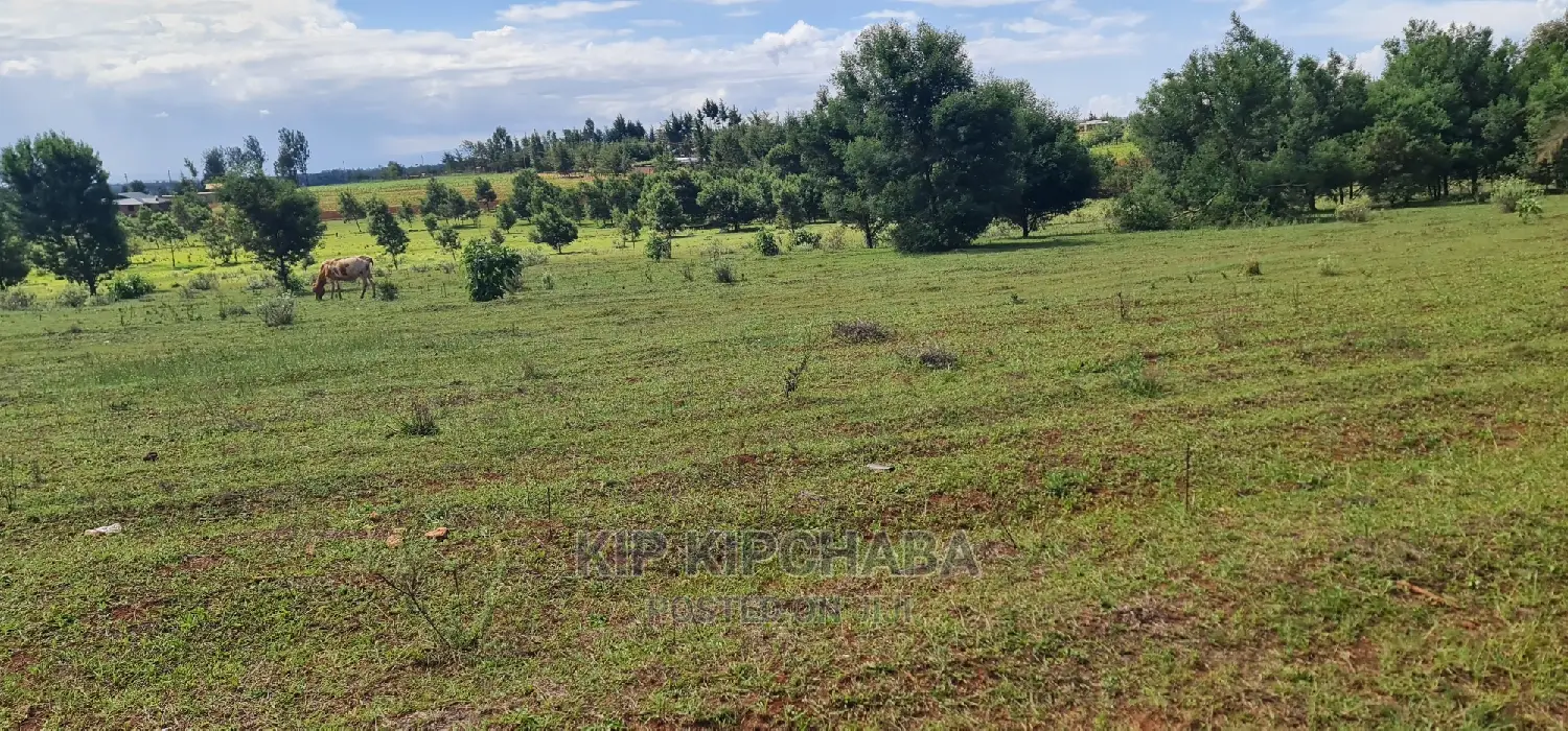 10 Acres for Sale in Chembulet Eldoret