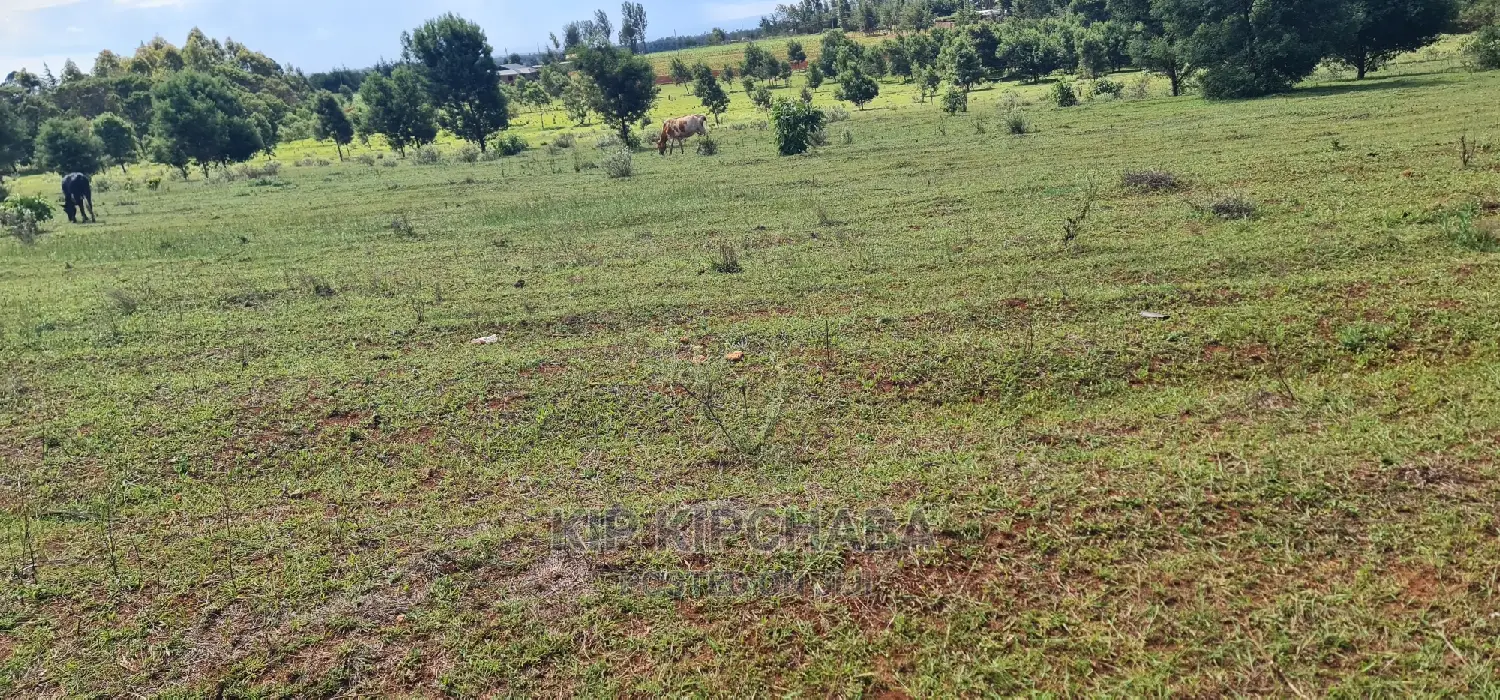 10 Acres for Sale in Chembulet Eldoret