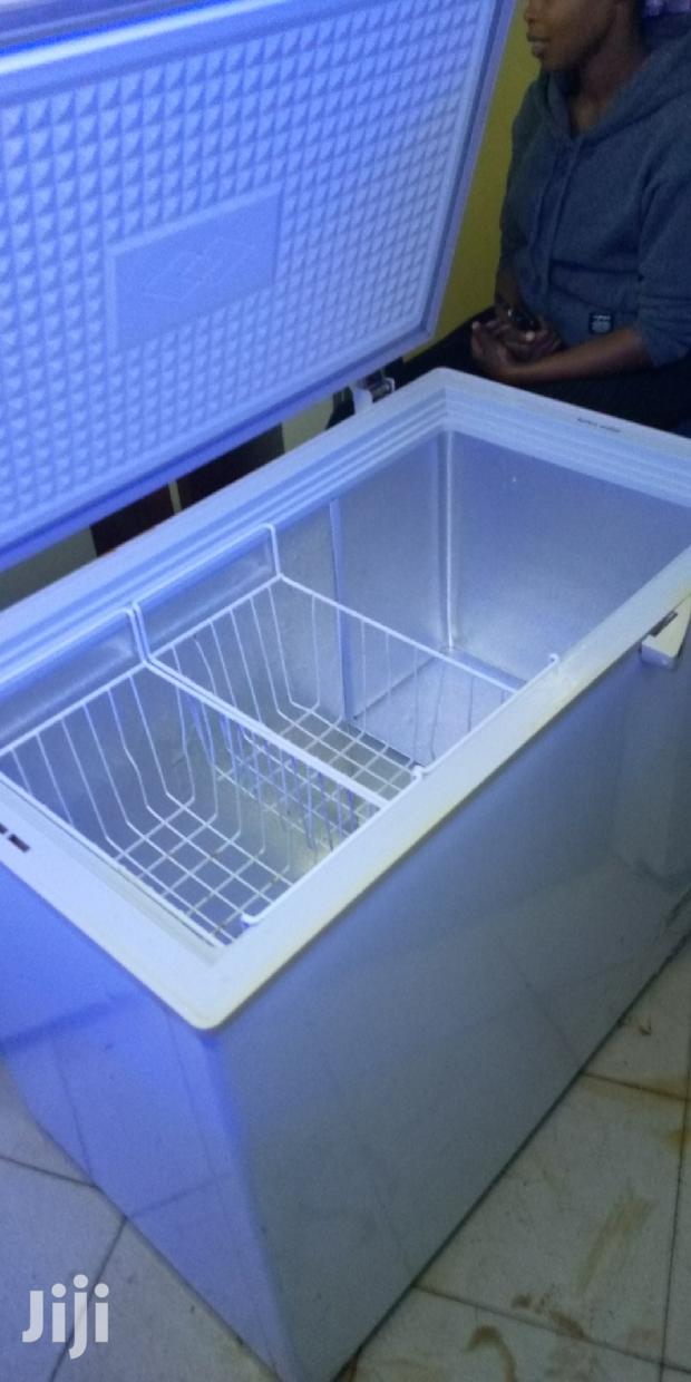 300 Litres Deep Freezer - main view