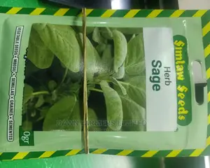 Sage Herb 10gms