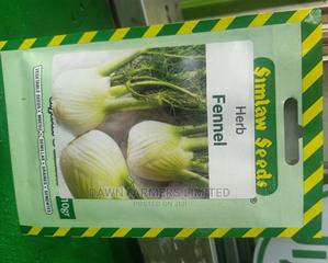 Fennel Herb 10gms - main view