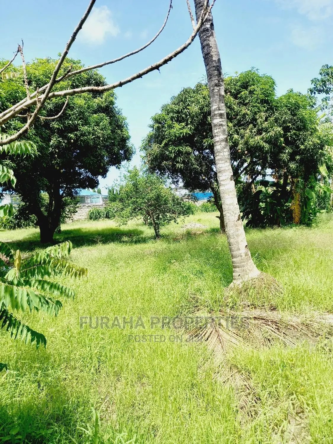 3bdrm Bungalow in Kikambala for Sale