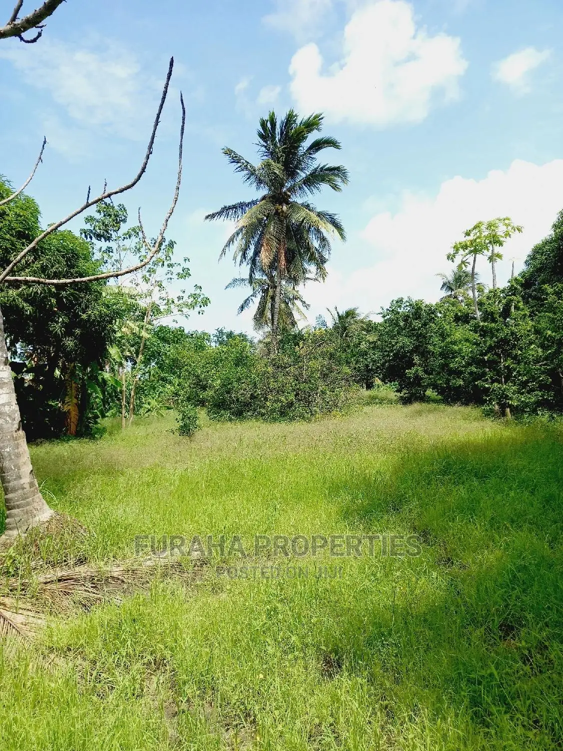 3bdrm Bungalow in Kikambala for Sale