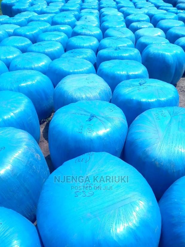 Wrapped Silage - main view