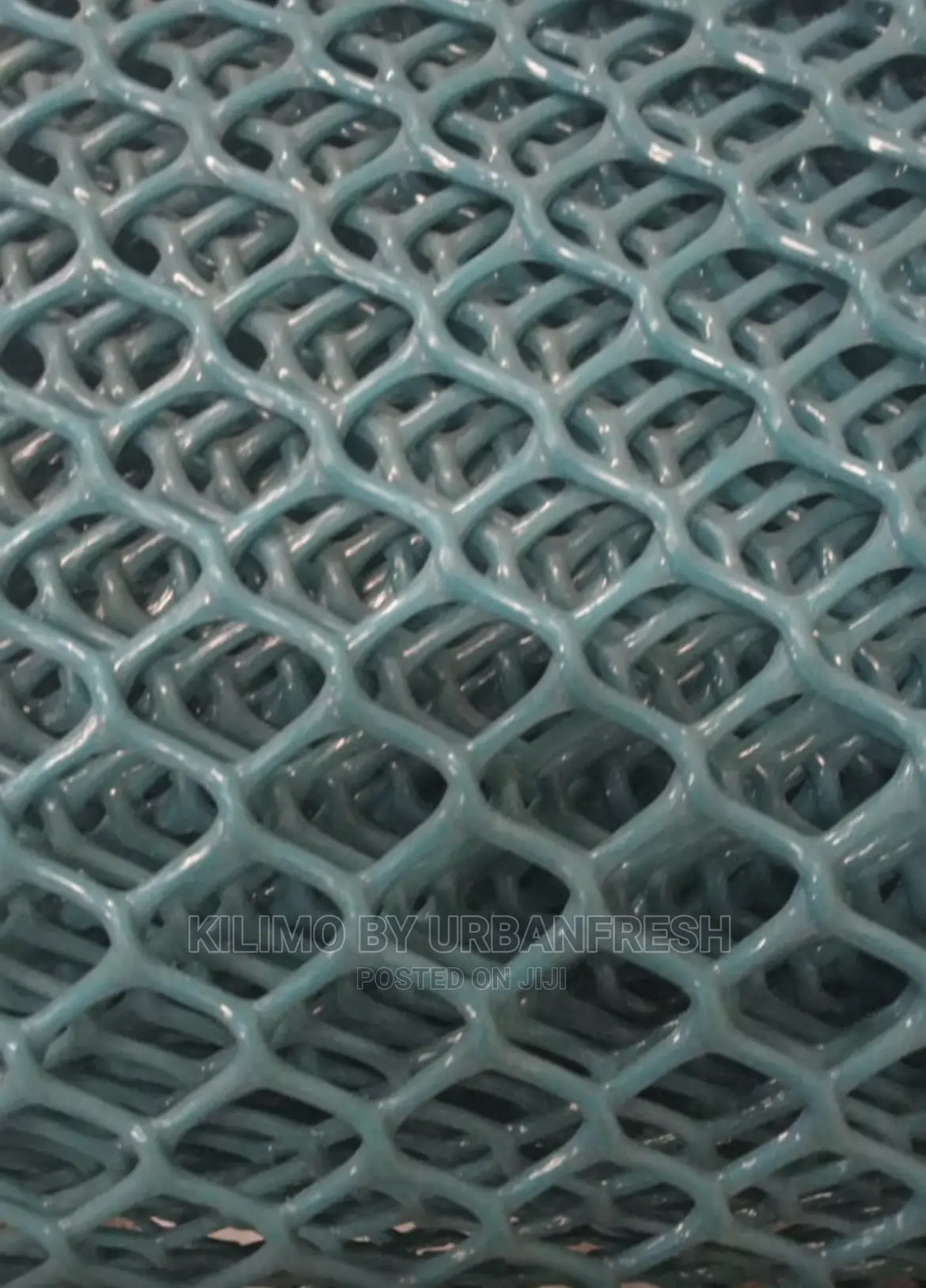 Plastic Poultry High Grade Mesh Roll 1 X 50.