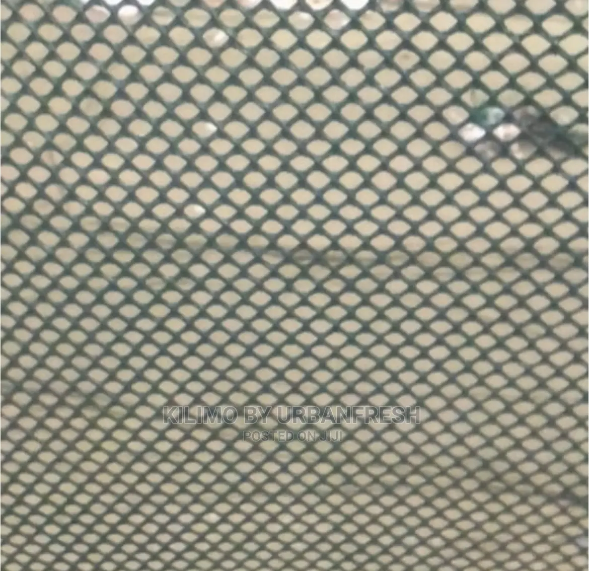 Plastic Poultry High Grade Mesh Roll 1 X 50.