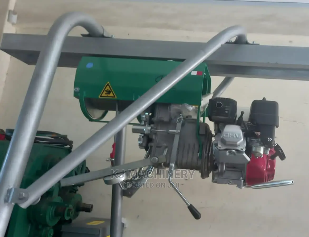 500kg Concrete Hoist