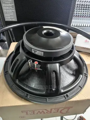 Derwel 15DL201 Naked Midrange Speaker