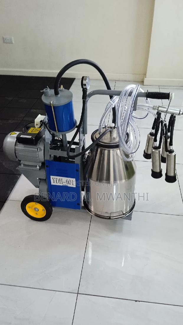 Milking Machine One Bucket