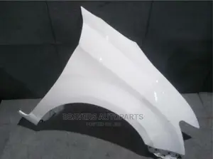 Axio/Fielder 161 2012-2014 Wing Fender