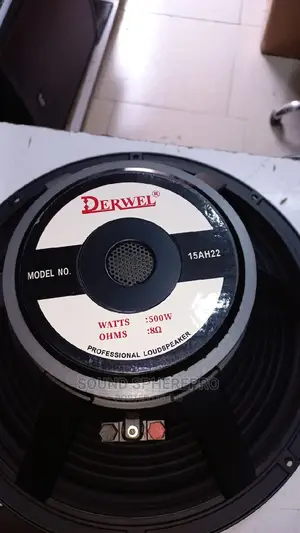 Derwel 15 AH-22 Naked Speaker