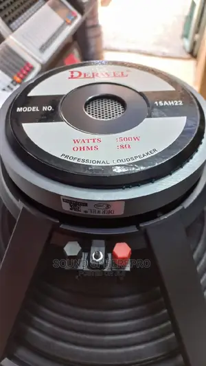 Derwel 15 AH-22 Naked Speaker
