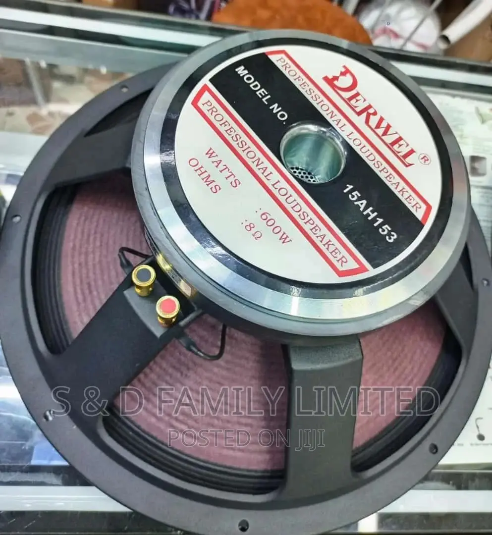 Derwel Midbass 15 Inch Naked Speaker