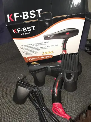 3000w Powerful Commercial Blow Dryer