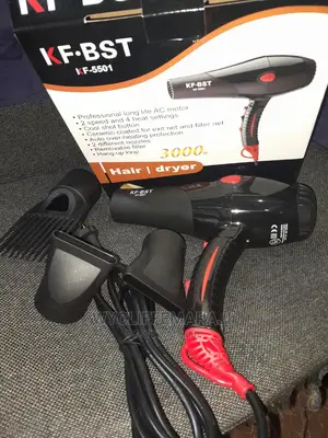 3000w Powerful Commercial Blow Dryer